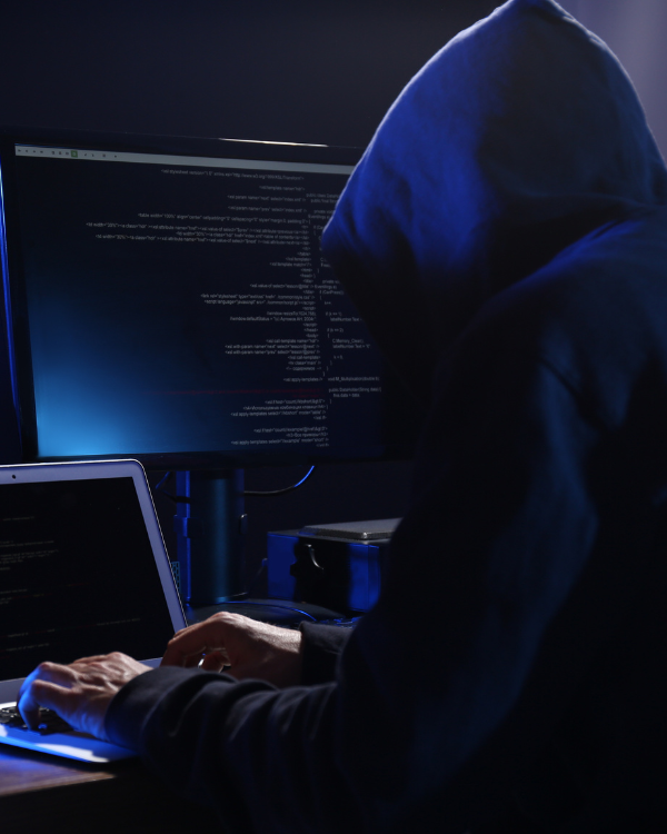 CEH Ethical Hacking Training Course in India​ - BlueXploit